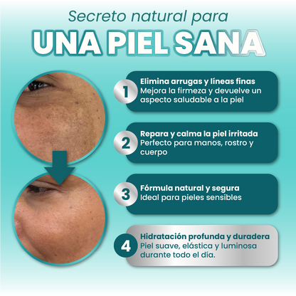 Sebo de Res - Evil Goods